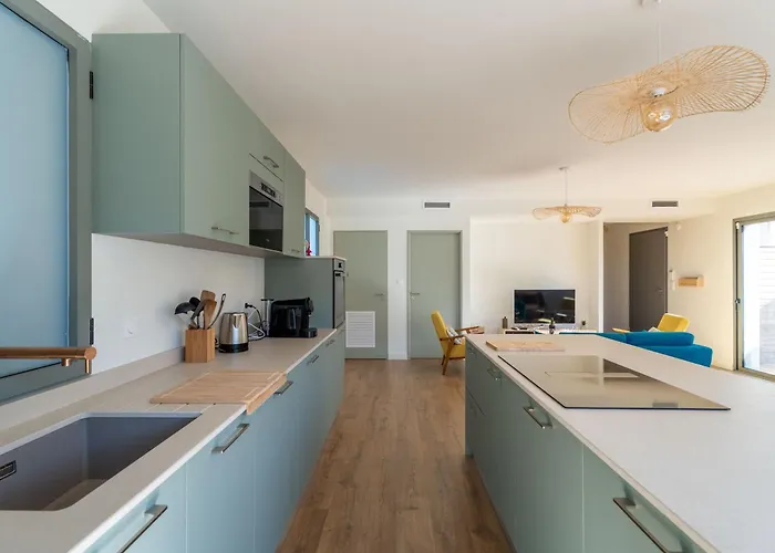 Maison Neuve Proche Ocean, Terrasse, Parking, 8 Pers - Fr-1-319-585 * Biscarrosse