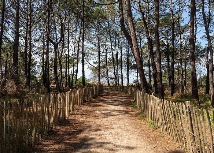 Maison Neuve Proche Ocean, Terrasse, Parking, 8 Pers - Fr-1-319-585