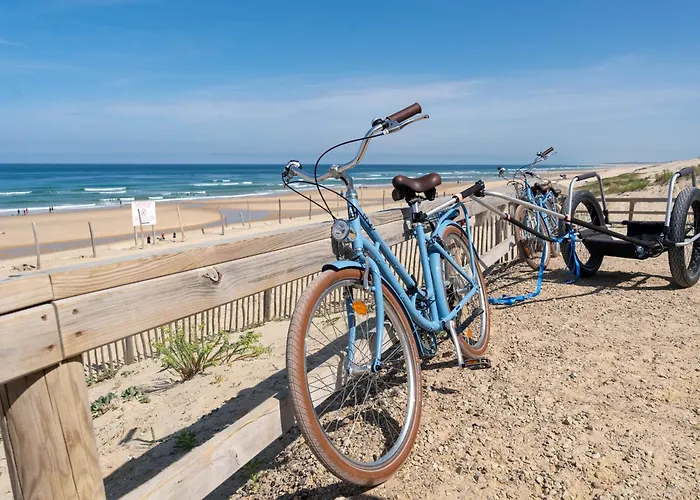 別荘 Maison Neuve Proche Ocean, Terrasse, Parking, 8 Pers - Fr-1-319-585 ビスカロッス